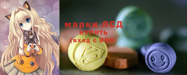 spice Вяземский