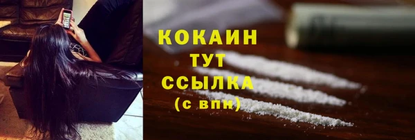 spice Вяземский