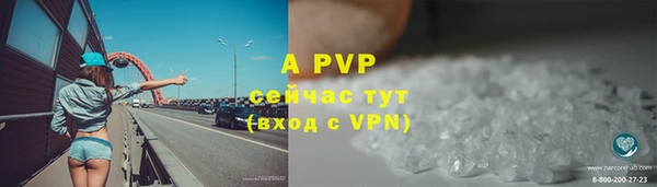 spice Вяземский