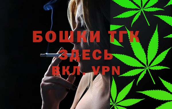 spice Вяземский